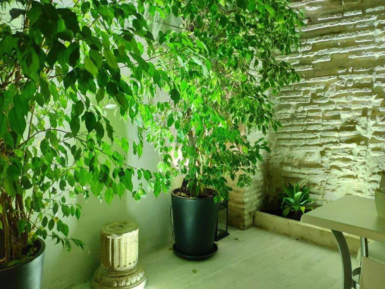 Apartment Atrium *