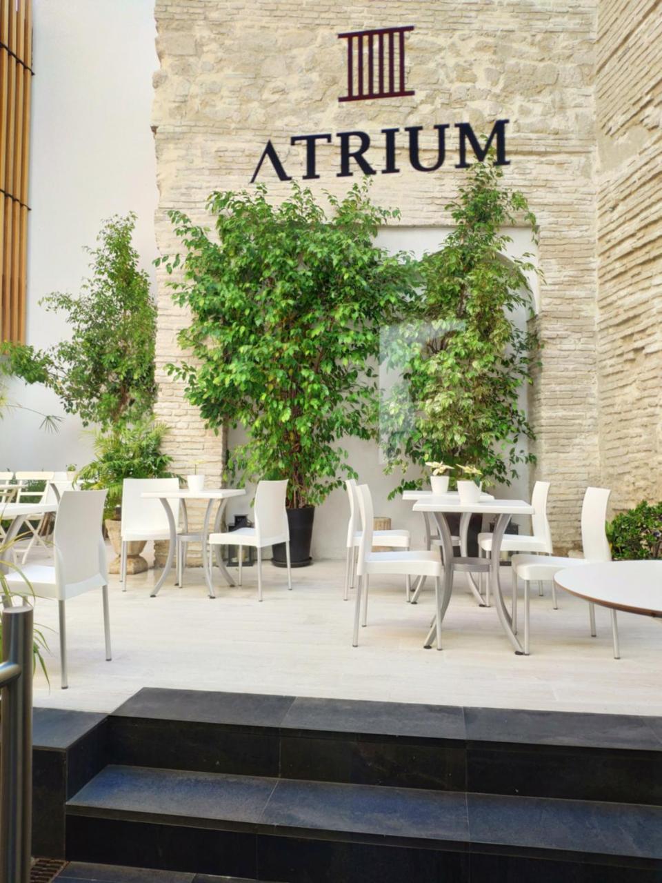 Apartment Atrium Córdoba